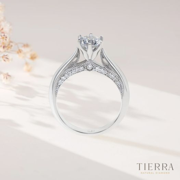 Cùng Tìm Hiểu Giá Kim Cương 5 Ly Trên Thị Trường 17 Giá Kim Cương 5 Ly